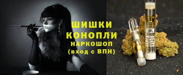 прущие грибы Богородск