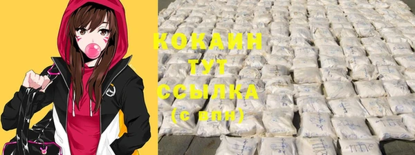 дурь Богородицк