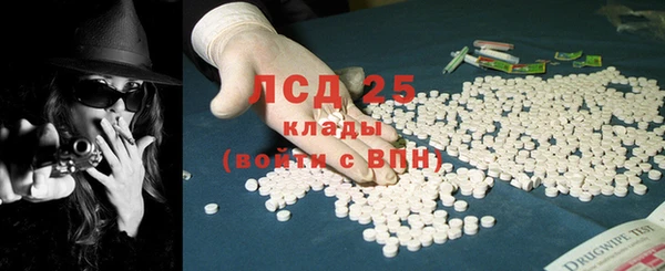 прущие грибы Богородск