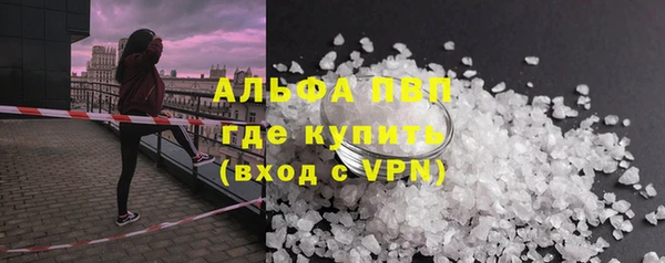 прущие грибы Богородск